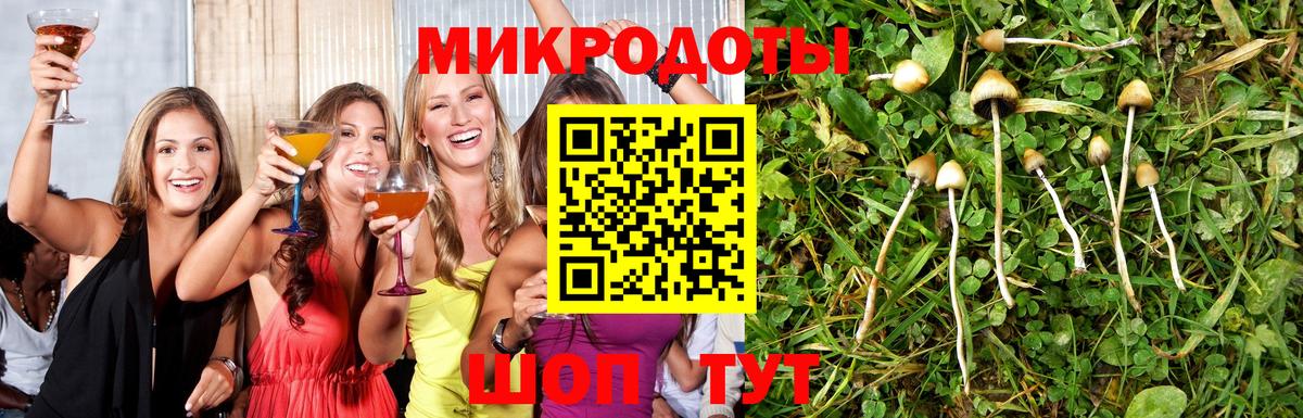 Галлюциногенные грибы Psilocybe Нефтекумск