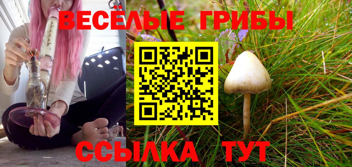 Нефтекумск  Псилоцибиновые грибы мухоморы  Вход с VPN 